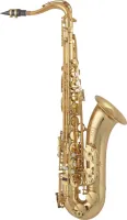 Arnoldsandsons aas-301-terra  альт-саксофон, профессиональный, верх клап f#, покрытие золотой лак