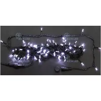 RICH LED RL-S10C-24V-2/W - Гирлянда