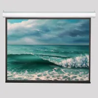 Экран ViewScreen Premium XL 16:10 200" 443*331 (431*269) с пультом