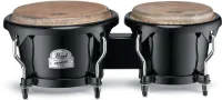 PEARL PFB-100/C602 - бонго серии Primero. Корпус: пластик. Размер: 6/7". Цвет: No.602 Bistre Black – черный бистр
