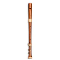 TE-4428 Dream-Edition Блокфлейта тенор, слива, барочная система, Mollenhauer