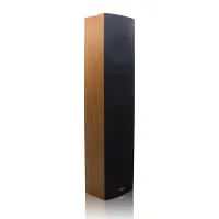 DSPPA DSP-403N