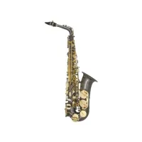 Сопрано саксофон Artemis 3631AS1BK изогнутый