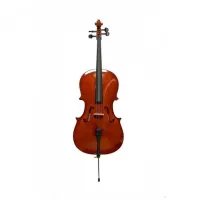 PRADO TС4/4P - виолончель 4/4 со смычком, в футляре