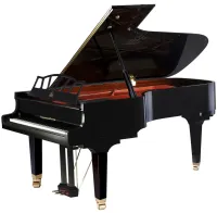 W218BK Рояль акустический, черный WendlandLung