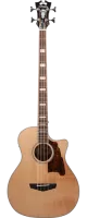 Акустическая бас-гитара D'Angelico Premier Mott PB-700-NAC