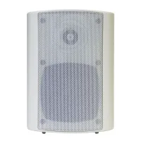 DSSWS-420W Речевой оповещатель, двухполосный, настенный, излучатели 4"+1.5", мощность 20 Вт/100 В, SPL 95 дБ, корпус из пластика ABS, цвет белый, DSS