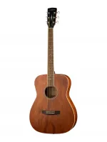 Parkwood PF51M-OP - Гитары иных форм