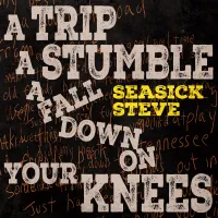 Виниловая пластинка Seasick Steve - A Trip A Stumble A Fall Down On Your Knees (Canary Yellow Vinyl LP)