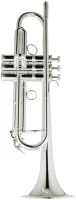 Труба Bb CarolBrass CTR-5000L-YST-Bb-S