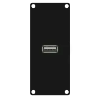 Caymon CASY162/B Модуль CASY оснащен гнездовым разъемом USB 2.0 A на передней стороне и 4-контактным разъемом клеммной колодки на задней панели.