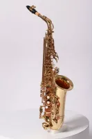 JBAS-260L Pierre Cesar альт-саксофон Eb, материал Yellow brass, лак, рег. механика, доп. клапаны F и верхний F#, кнопки перламутр, облегченный футляр, мундштук, лигатура, колпачок, тряпочка, гайтан.
