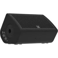 CX8/Коаксиальный сценический монитор 8", 300Вт  AES, 8Oм, инсерт Ø35мм/MOOSE