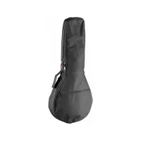STAGG STB-5 MA - нейлоновый чехол для мандолины,5 мм.Цвет: черный.