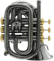 Мини-труба Bb CarolBrass CPT-1000-YSS-Bb-BG