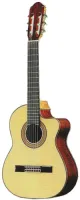 Электрифицированная гитара Raimundo R1498E Cedar