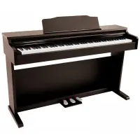 SOLISTA DP200RW Фортепиано цифровое, цвет палисандр (SOLISTA DP200RW - корпусное цифровое фортепиано начального уровня, 88 полноразмерных клавиш с тремя уровнями чувстивельности к касанию, клавиатура взвешенная с молоточковой механикой, современный источн
