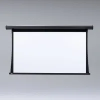 Экран Premier NTSC (3:4) 244/96" 152*203 XH600V (HDG) ebd 30" case white