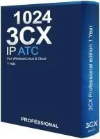 Professional 1024SC (годовая)