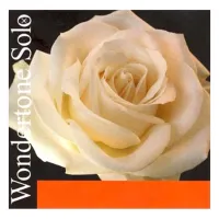 PIRASTRO Wondertone Solo 410021 струны для скрипки  4/4 (комплект),  среднее натяжение, синтетическа