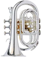 Pocket trumpet Bb Artemis RTR-5066 - Карманная труба из посеребереной латуни