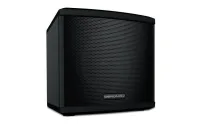 DN-AXIS8 / Активная 2-полосная коаксиальная акустическая система, 8", 1000Вт / DENON