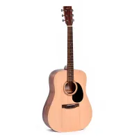Гитара Ditson D-10