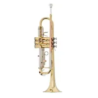 Труба Trevor James Renaissance TJTR8500SP Bb