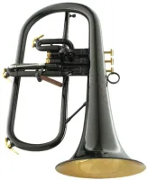 Флюгельгорн CarolBrass CFL-6200-GSS-Bb-BG