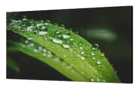 Dahua DHI-LS550UEH-UG- 55" LCD-дисплей 1080p для создания видеостен, 700 кд/м², шов 0,44 мм