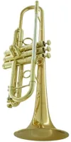 Труба Bb CarolBrass Legendary CTR-8060H-GLS-Bb-L