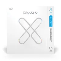 D`ADDARIO SET ACOUS XS PB X-LT 12 STR