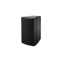 EAGLE DY10 /Акустическая система 10", Dante, PoE, 1x10", 1х1,5", мощность 120 Вт/S-TRACK,