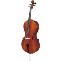 Strunal 40/4F 3/4  Виолончель студенческая, уменьшенный вариант, размер 3/4