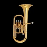 SAH-1300G, уценка 10% , Альт-горн Sebastian SAH-1300G, уценка 10%