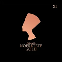 Pyramid NOF11 - Струны для электрогитар