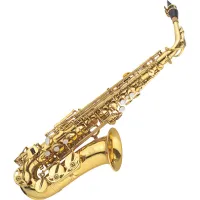 J. Michael AL-780 Саксофон альт Eb, лакированный, высокий F# и передний F клапаны, с кейсом