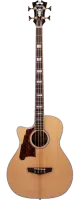 Бас-гитара для левшей D'Angelico Excel Mott SBG-700-LNAT