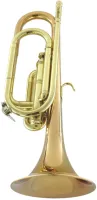 Горн Bb/G CarolBrass CBG-Regulation RSM-Bb/G
