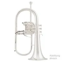 Arnoldsandsons afh-655g  флюгельгорн bb студенческий, растр томпак 154, менз 11,2, триггер, лакированный