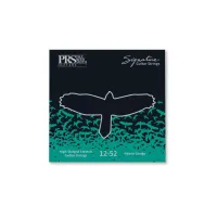 PRS Signature Heavy струны для 6ти струнной электрогитары .012 - .052, артикул 100148:006:001:004