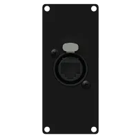 Caymon CASY167/B Модуль CASY оснащен разъемом NE8FAH Ethercon на передней стороне и розеточным разъемом RJ45 на задней панели.