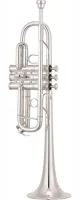 Труба C Yamaha Xeno YTR-8445S//04