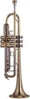 Yamaha YTR-8335  труба Bb профессиональная, тяжёлая, yellow brass bell, чистый лак