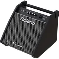 Roland pm-100  монитор