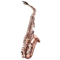 Альт саксофон Lion Crown Midnight Jazz