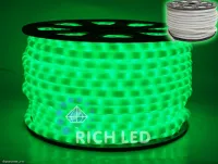 RICH LED RL-DL-2WHM-100-240-G - Дюралайт