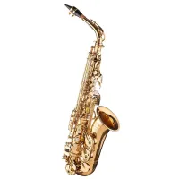 Альт саксофон Lion Crown Gold Classic
