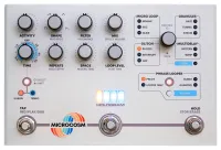 Hologram Electronics Microcosm - Моделирующие и специальные педали эффектов