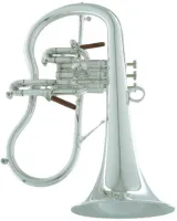 Флюгельгорн CarolBrass Legendary CFL-7200-RSS-Bb-SNB